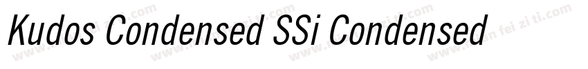 Kudos Condensed SSi Condensed Ital字体转换